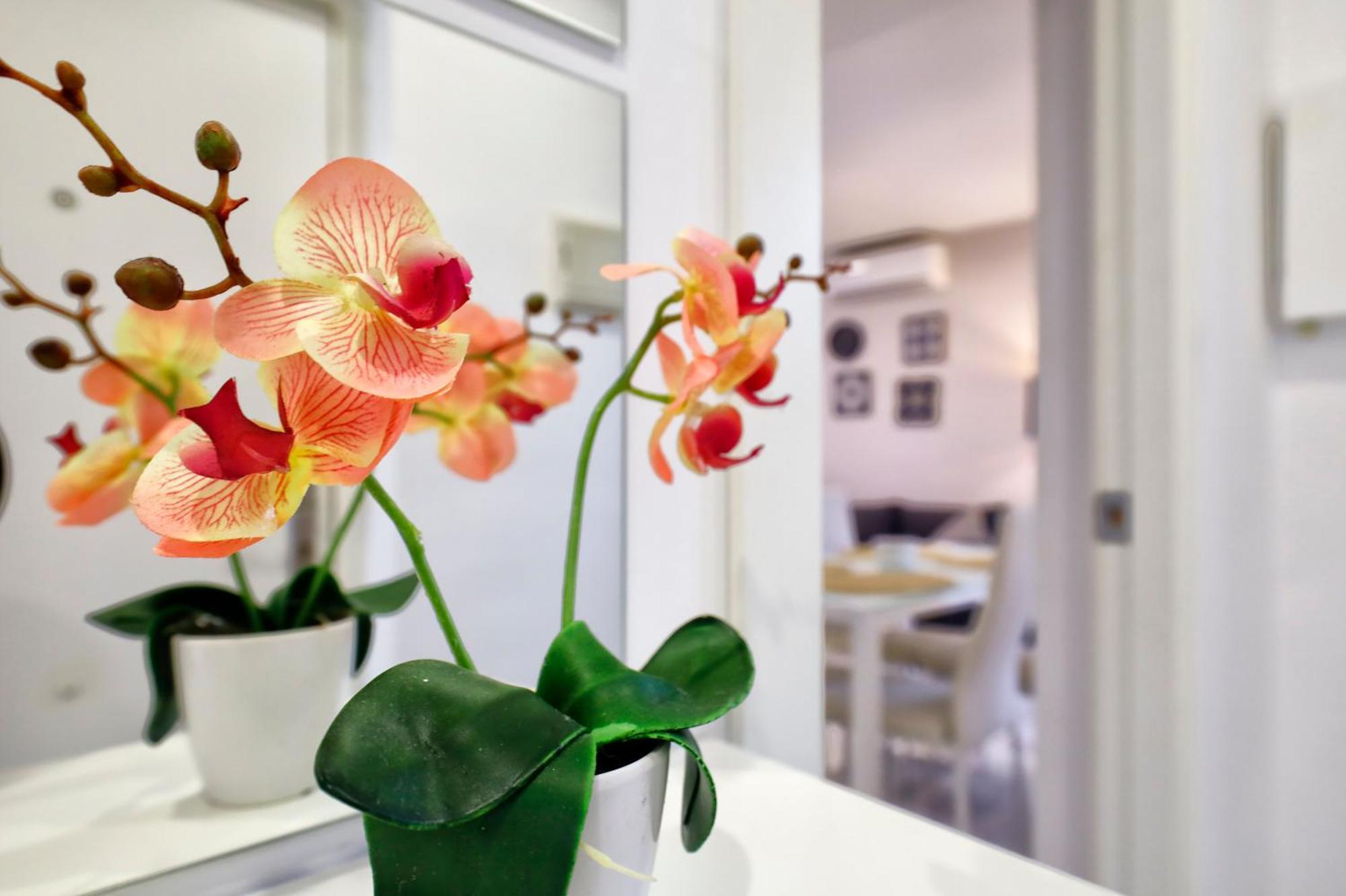 Encanto En La Juderia: Con Patio Appartement