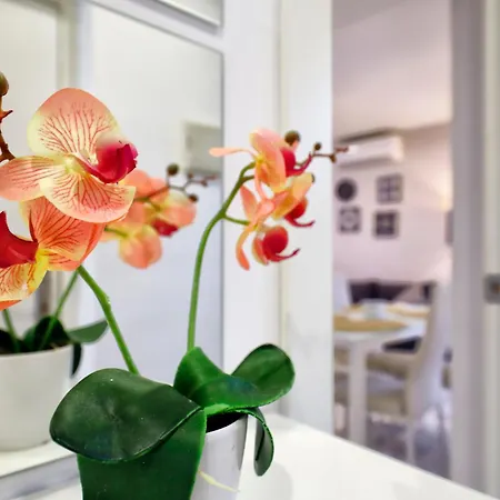 Encanto En La Juderia: Apartamento Con Patio Kordoba Zewnętrze zdjęcie
